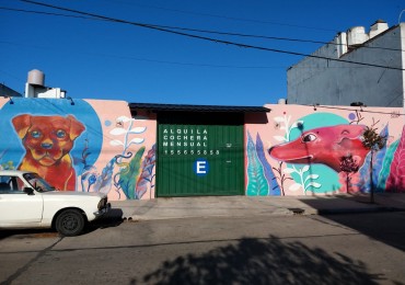 COCHERAS CON EXCELENTE RENTA